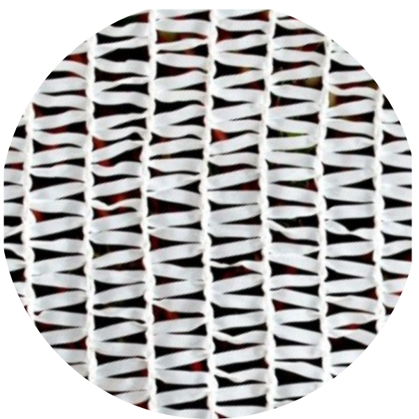 Protekta | Detalle del producto